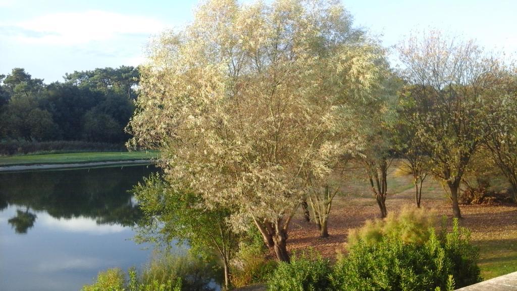 Studio Avec Vue Sur Lac Talmont-Saint-Hilaire Εξωτερικό φωτογραφία